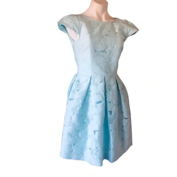 Ted Baker Baby Blue Laureto Fit & Flare Lace Dress Pleated Skirt Net Cut Outs - Picture 4 of 16